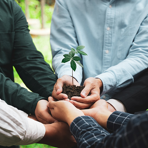CSR Activities